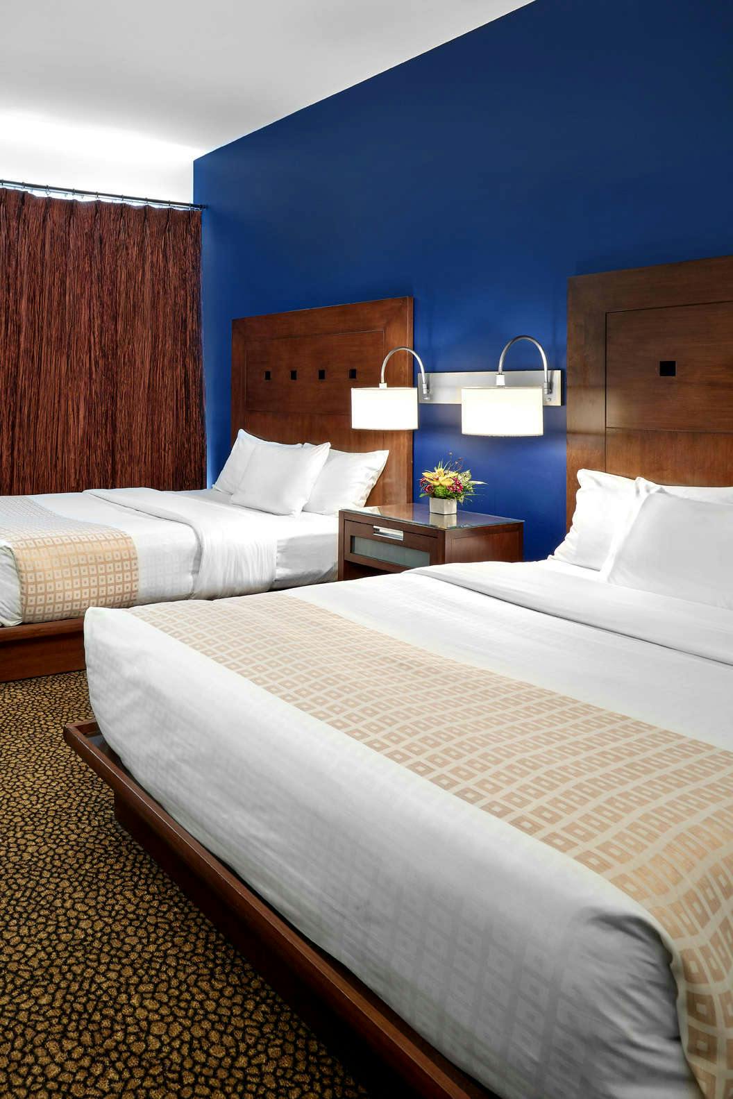 Hotel Metterra Hotel on Whyte photo 4