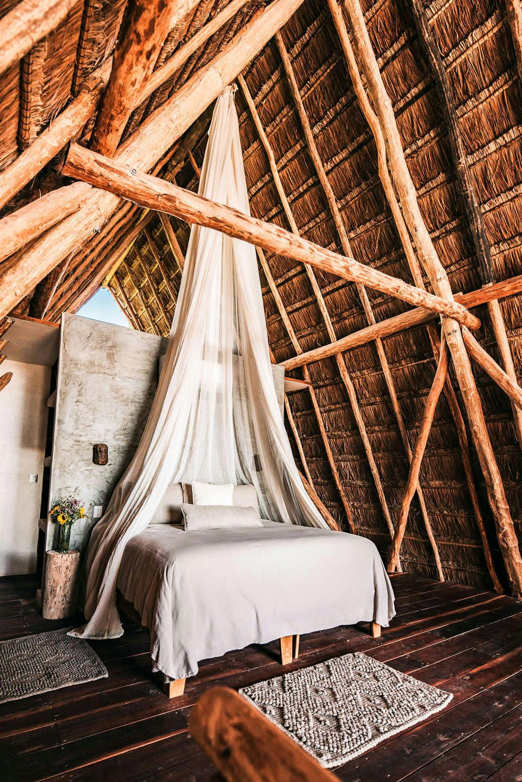 Hotel Papaya Playa Project photo 1