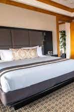 Hotel Voco The Tiger Hotel, Columbia, Mo photo 1