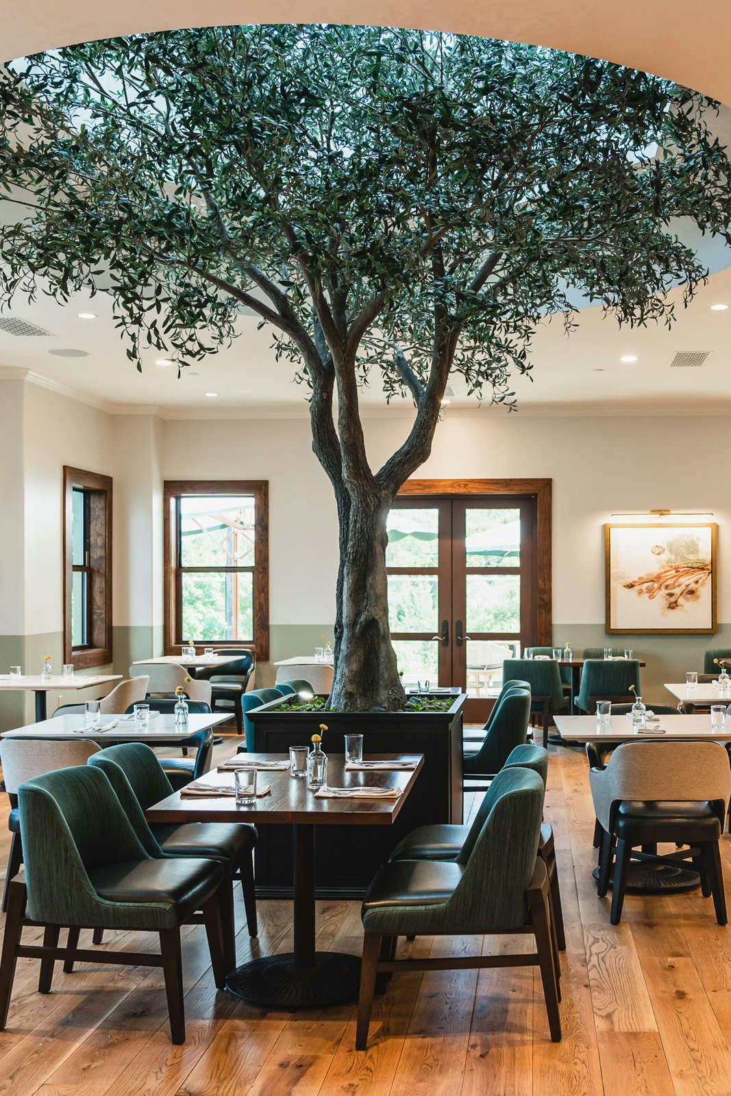 Hotel Hotel Viata photo 4