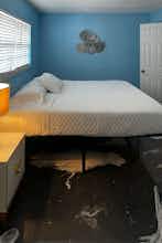 Hotel Breezy Palms Resort photo 5