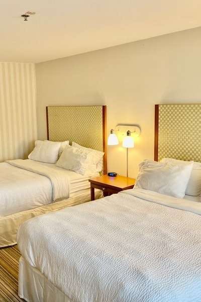 Hotel Holiday Inn Express Columbus Airport – Easton photo 2