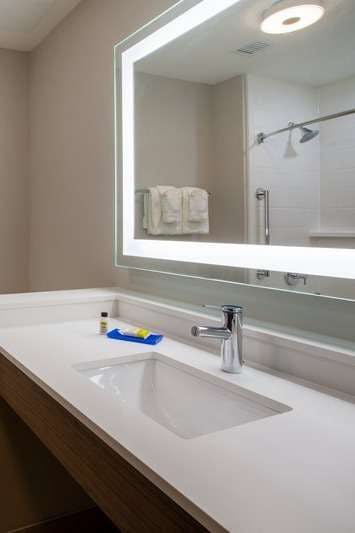 Hotel Holiday Inn Express & Suites Deland South photo 5