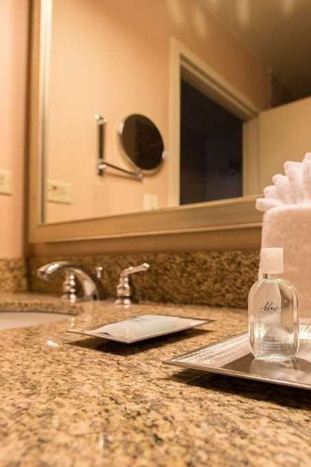 Hotel Wyndham Chicago O Hare photo 3