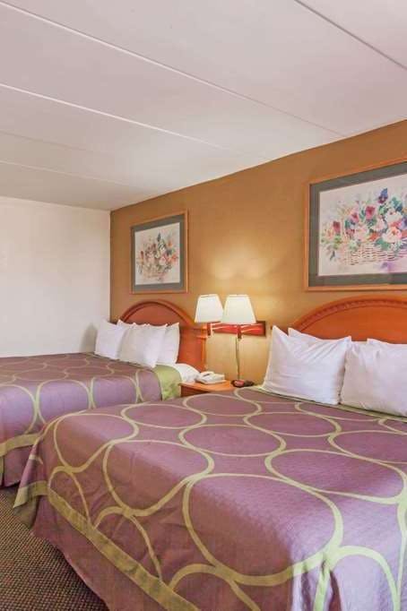 Hotel Super 8 by Wyndham Manassas photo 3