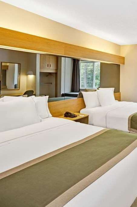 Hotel Microtel Inn & Suites by Wyndham Raleigh Durham Airport photo 2