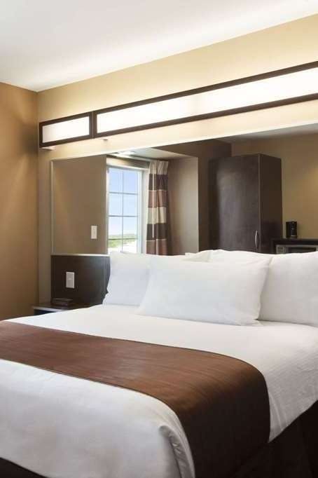 Hotel Microtel Inn & Suites by Wyndham Pleasanton photo 2