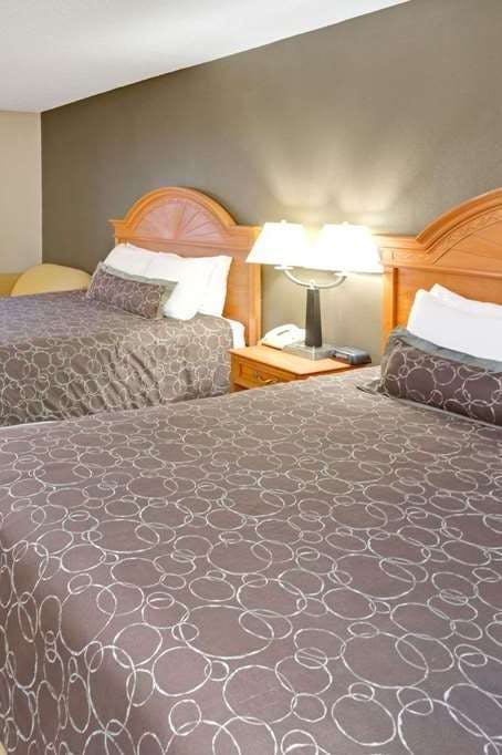 Hotel Super 8 by Wyndham South Bend photo 2