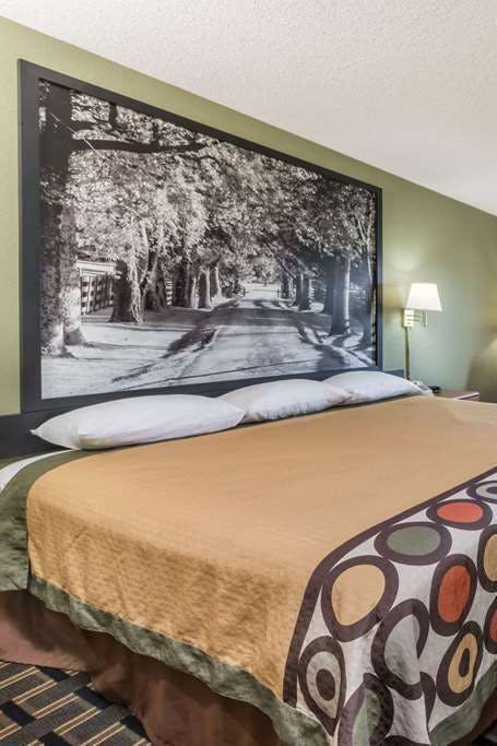 Hotel Super 8 by Wyndham Greenville photo 1