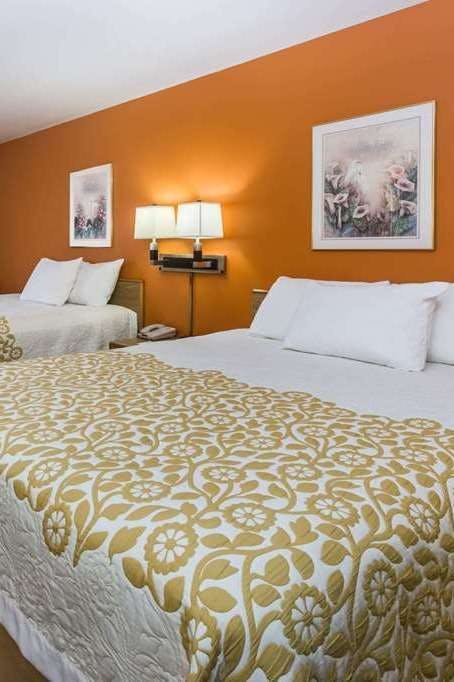 Hotel Days Inn by Wyndham Stoughton WI. photo 3