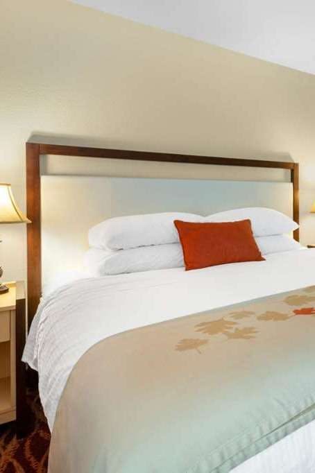 Hotel Hawthorn Suites by Wyndham Allentown-Fogelsville photo 1