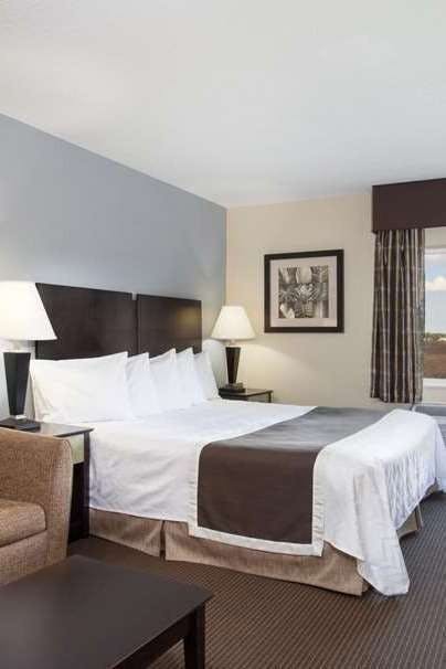 Hotel Baymont by Wyndham Dale photo 1