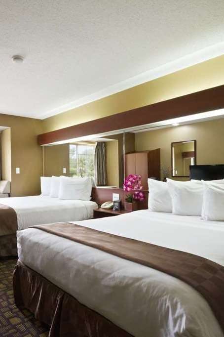 Hotel Microtel Inn & Suites by Wyndham Lithonia/Stone Mountain photo 2