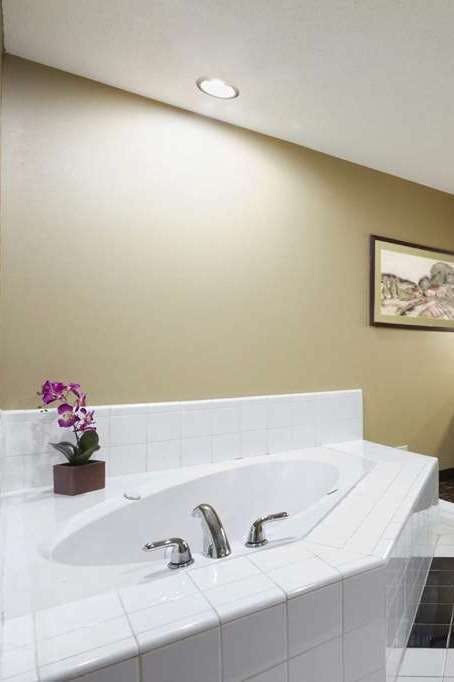 Hotel Microtel Inn & Suites by Wyndham Lithonia/Stone Mountain photo 3