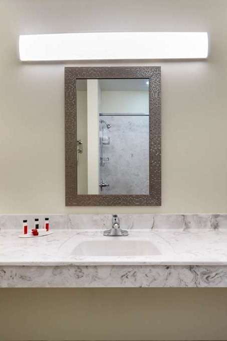 Hotel Ramada by Wyndham Hendersonville photo 3