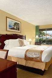 Hotel Ramada by Wyndham Temple Terrace/Tampa North photo 2