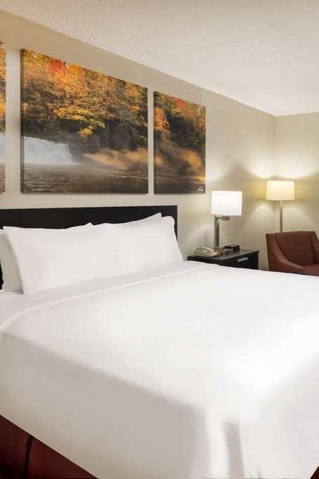 Hotel Days Inn by Wyndham Raleigh Midtown photo 4