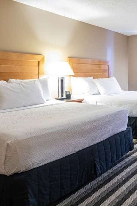 Hotel Royal Hotel West Edmonton, Trademark Collection by Wyndham photo 3