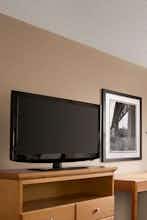 Hotel Royal Htl W Edmontn photo 4