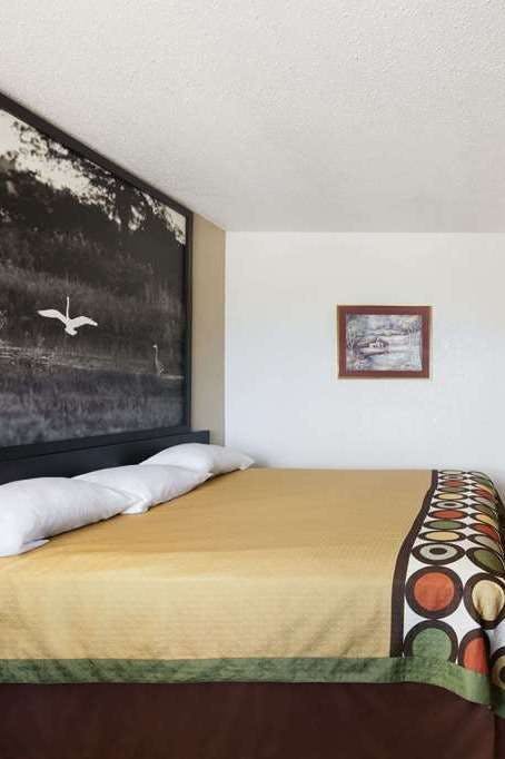 Hotel Super 8 Bowling Green photo 2