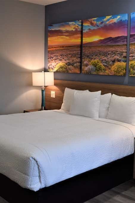 Hotel Days Inn & Suites by Wyndham Downtown/University of Houston photo 2