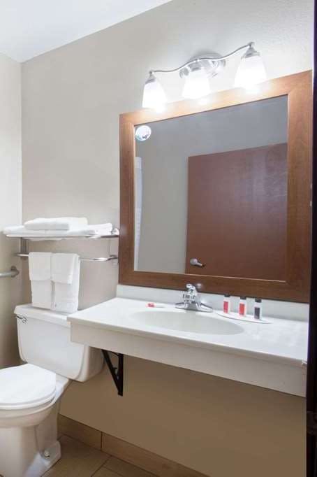 Hotel Super 8 Iowa City/Coralville photo 4