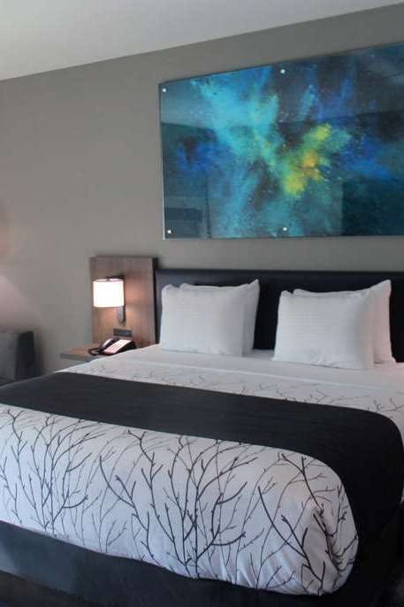 Hotel La Quinta Inn & Suites by Wyndham Dallas/Fairpark photo 2