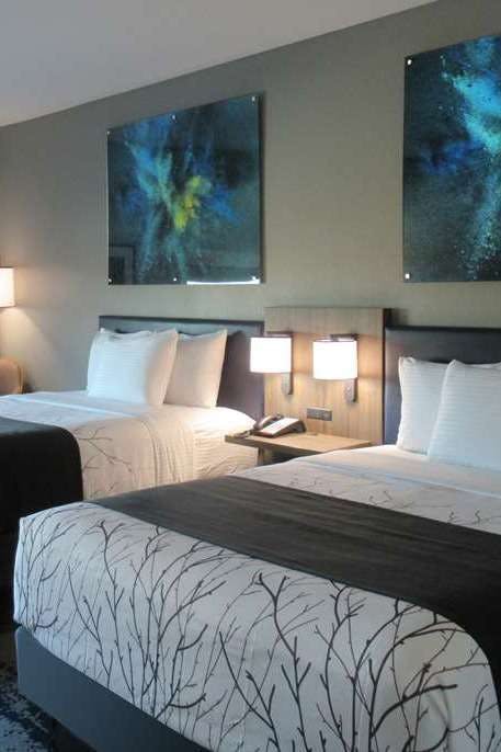 Hotel La Quinta Inn & Suites by Wyndham Dallas/Fairpark photo 1