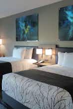 Hotel La Quinta Inn & Suites by Wyndham Dallas/Fairpark photo 1