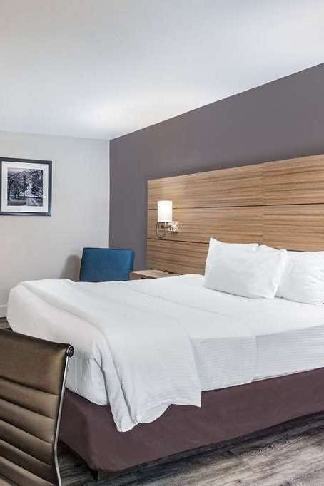 Hotel La Quinta Inn & Suites by Wyndham Joplin photo 2