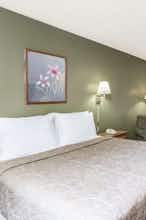 Hotel Super 8 Hampton photo 1
