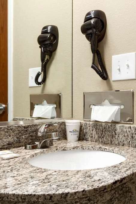 Hotel Microtel Inn & Suites by Wyndham Shelbyville photo 3