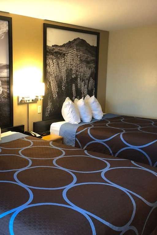 Hotel Super 8 by Wyndham Carson City/Lake Tahoe photo 2