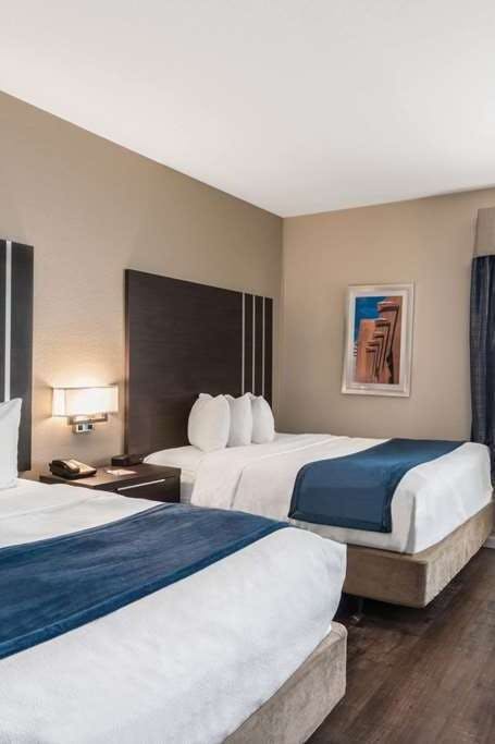 Hotel Baymont by Wyndham Albuquerque Airport photo 3