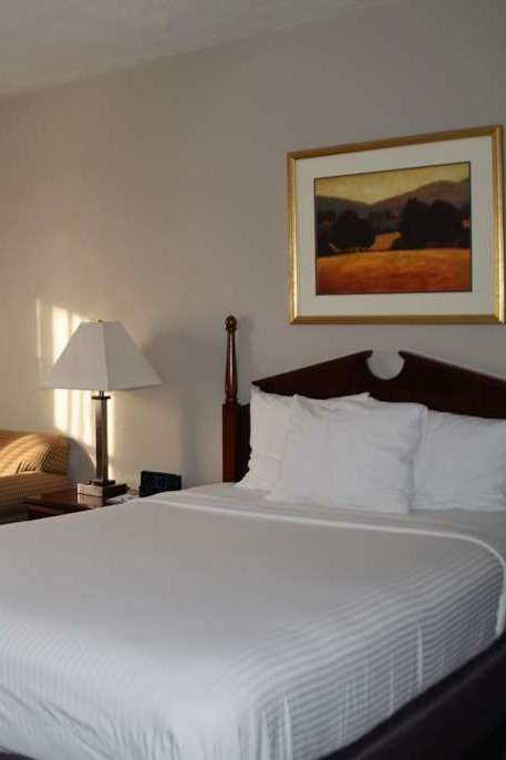 Hotel Baymont by Wyndham Effingham photo 3