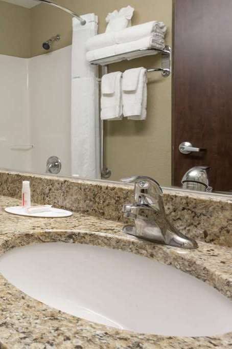 Hotel Microtel Inn & Suites by Wyndham Jacksonville Airport photo 4