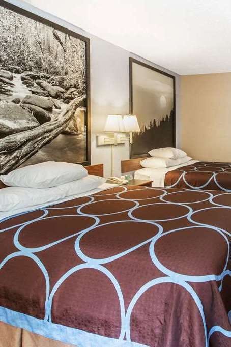 Hotel Super 8 by Wyndham Caryville TN photo 2