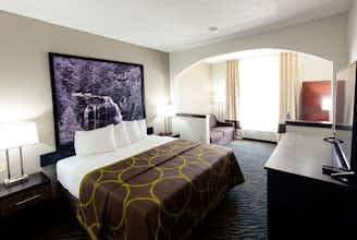 Hotel Super 8 by Wyndham High Point/Greensboro photo 5