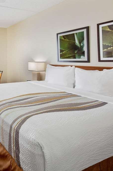 Hotel La Quinta Inn & Suites by Wyndham Sawgrass photo 1