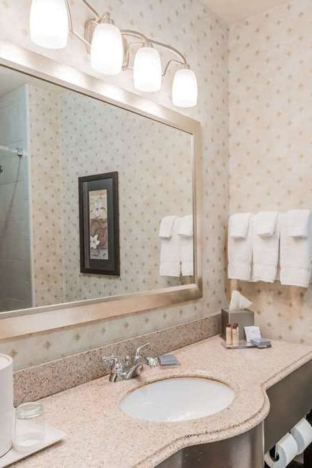 Hotel Wingate by Wyndham New Braunfels photo 3