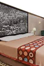 Hotel Super 8 Ft Oglethorpe GA photo 2