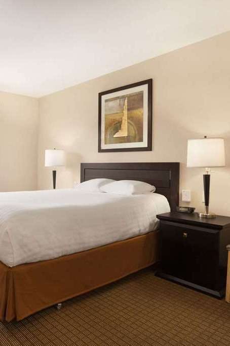 Hotel Super 8 Edmonton Intl Arpt photo 1