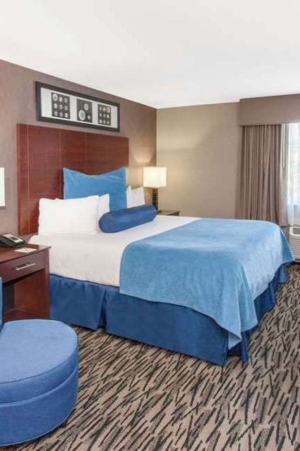 Hotel Wyndham Garden Elk Grove Village/O'Hare photo 1