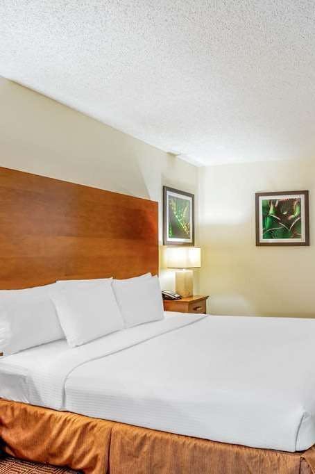 Hotel La Quinta Inn & Suites by Wyndham Danbury photo 2