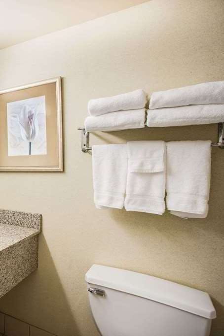 Hotel Wingate by Wyndham Atlanta Galleria/Ballpark photo 4