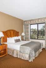 Hotel Baymont by Wyndham Asheville/Biltmore Village photo 1
