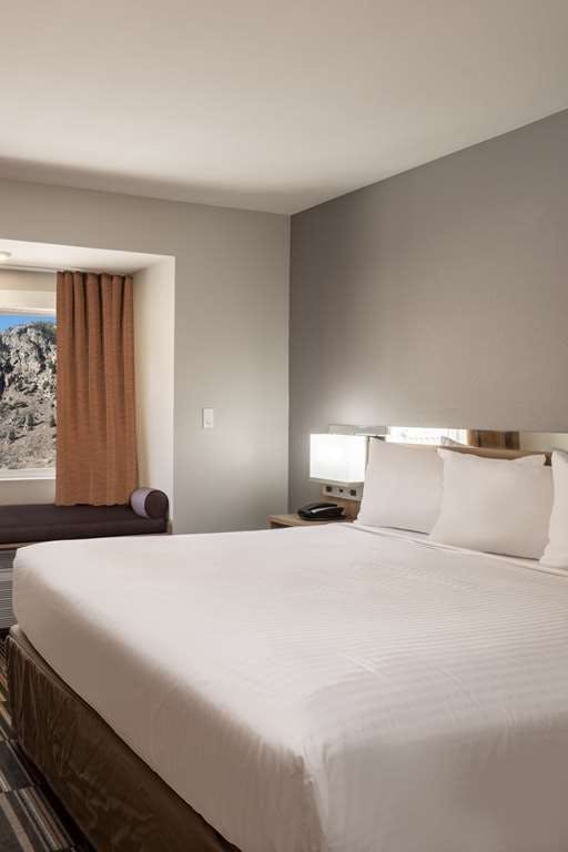 Hotel Microtel Inn & Suites by Wyndham Georgetown Lake photo 1