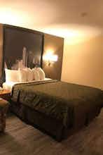 Hotel Super 8 by Wyndham Terrell photo 2
