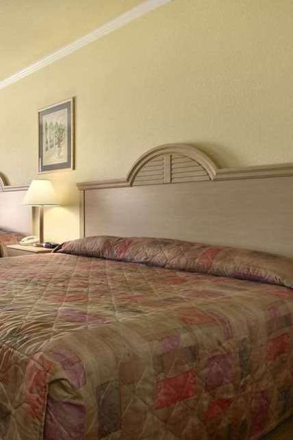 Hotel Super 8 by Wyndham San Antonio/Alamodome Area photo 3