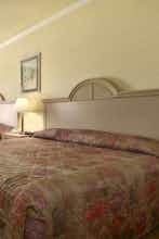 Hotel Super 8 by Wyndham San Antonio/Alamodome Area photo 3